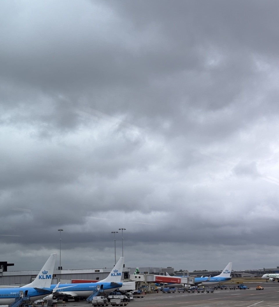 Back at Schiphol — KLM tails under a familiar grey sky